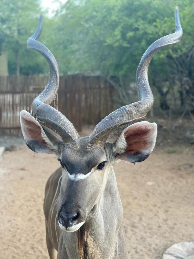 Birdsong Kruger Villa Марлот Парк Екстериор снимка