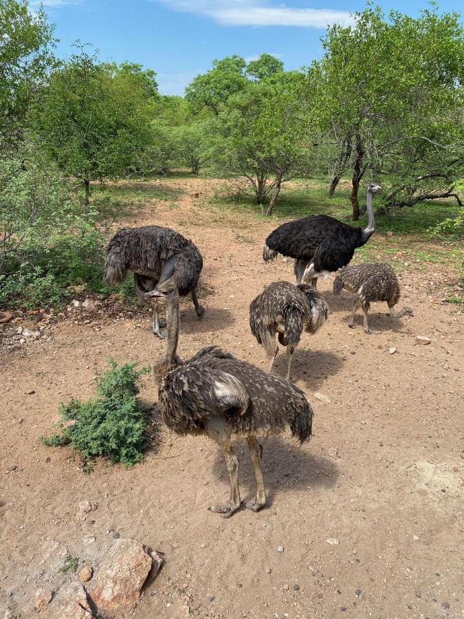 Birdsong Kruger Villa Марлот Парк Екстериор снимка