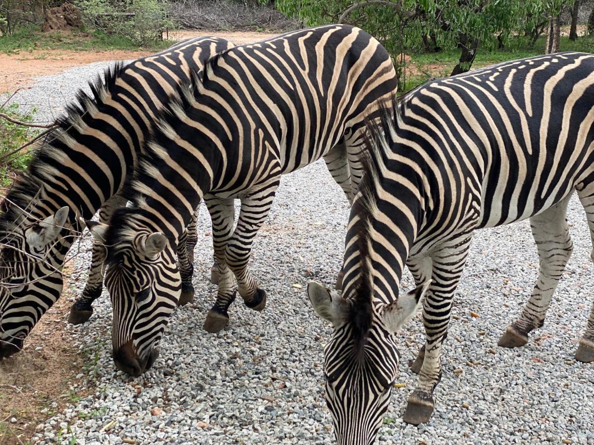 Birdsong Kruger Villa Марлот Парк Екстериор снимка