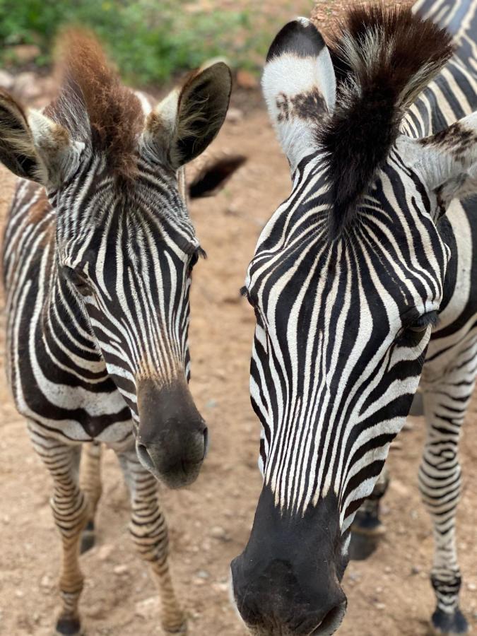 Birdsong Kruger Villa Марлот Парк Екстериор снимка